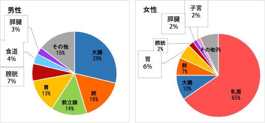 部位別割合