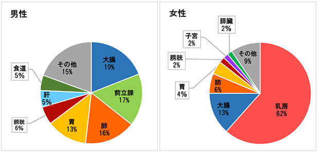 2017年　年代別