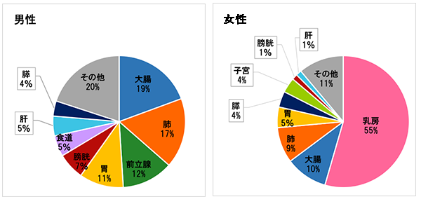 2018年　部位別割合