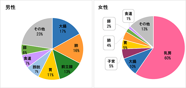 2019年　部位別割合