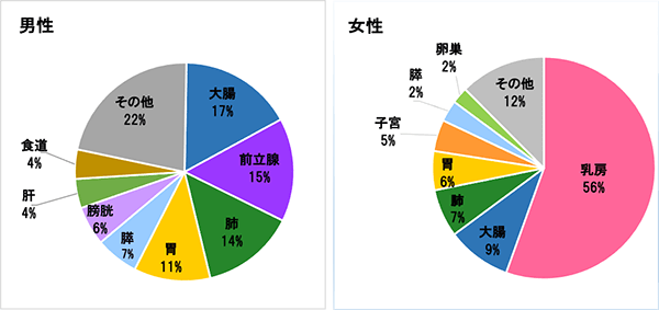 2020年　部位別割合